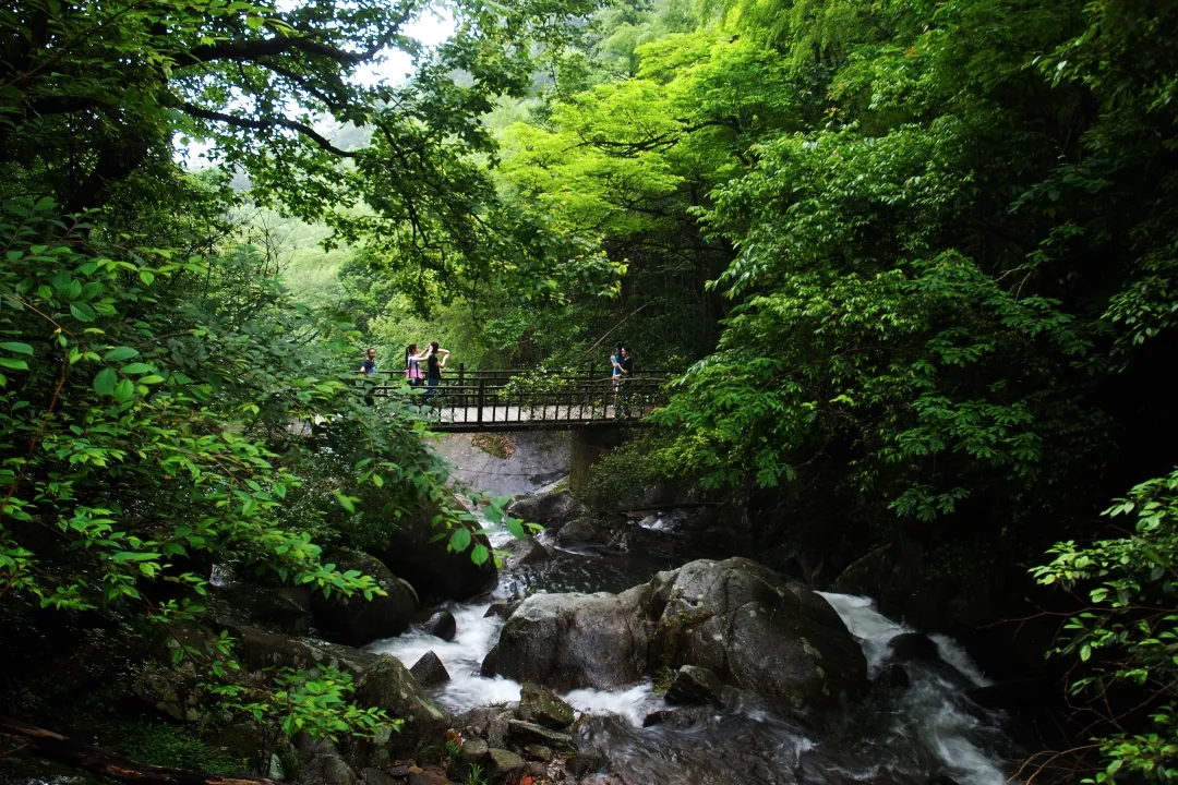 大围山森林徒步